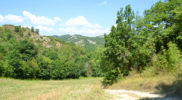 Il territorio di Monte Ruperto (foto Daniele Dei)